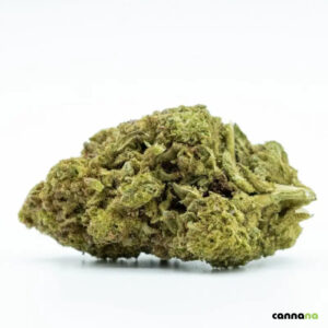 🦍 Gorilla Glue 10-OH 30 % Blüten